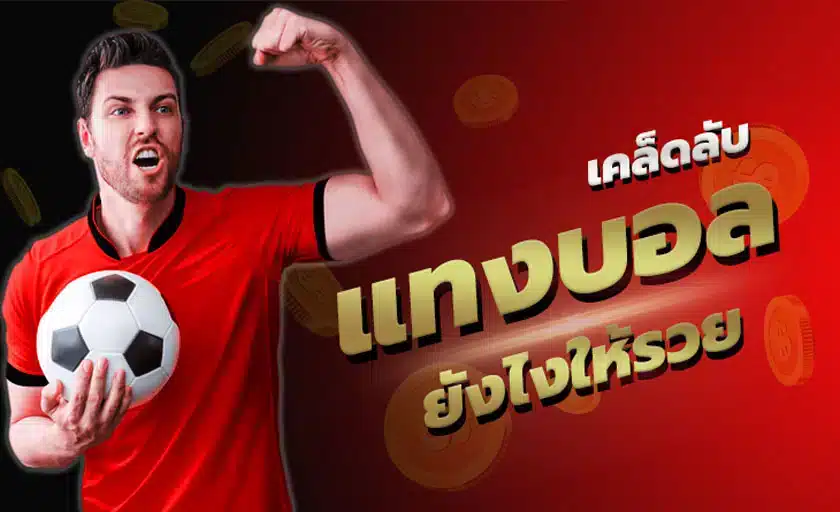 แทงบอลวอเลท
